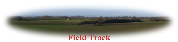 Field Track