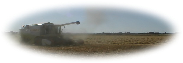 Claas1