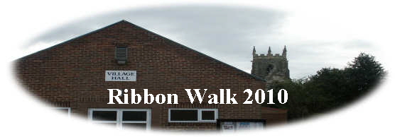 Ribbon Walk 2010