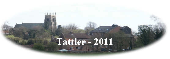 Tattler - 2011