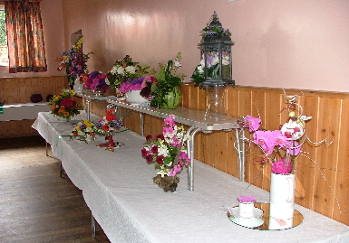 Show 2011 (12)