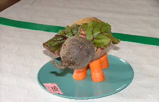 Show 2011 (3)